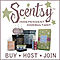 Scentsy-wickless-candles-the-hottest-new-thing